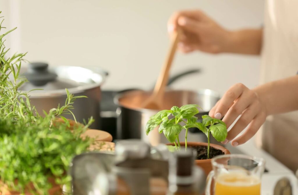 An individual reaches to pick a leaf off a basil plant from a small kitchen herb garden while cooking dinner